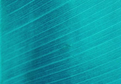 Abstract17_teal_mobile