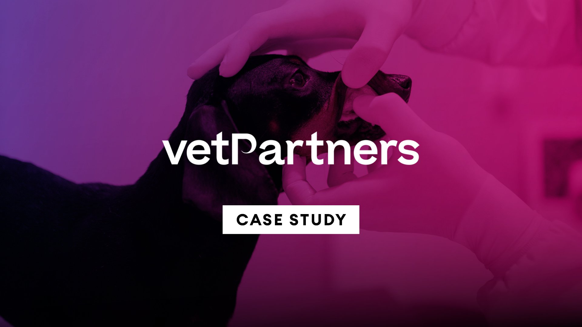 CaseStudy_VetPartners