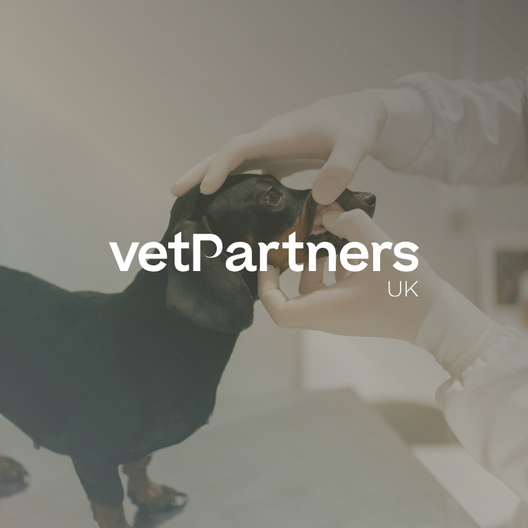 VetPartners